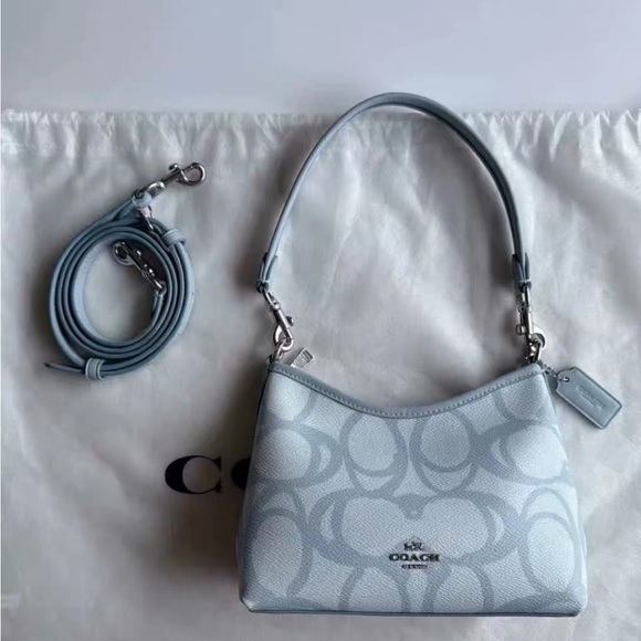 Coach Bag - Picture 1 of 6